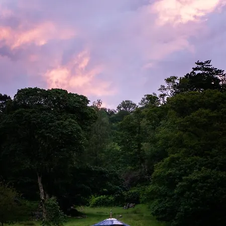 Campsite Yurt 1